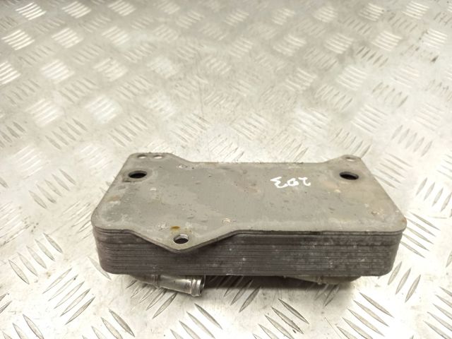 Радиатор АКПП 0GC317019C VAG