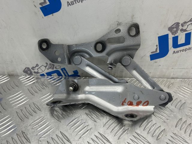 TESLA 105804100B Петля капота левая в наличии Полтава