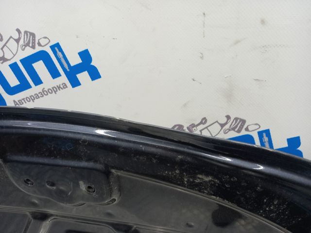 1081390E0C TESLA Капот купить в Днепр