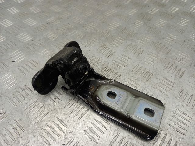 Петля задней багажной, 3/5 -ой двери 41007350829 BMW