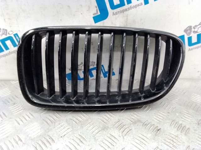 BMW 51137203649 Решетка радиатора левая в наличии Днепр