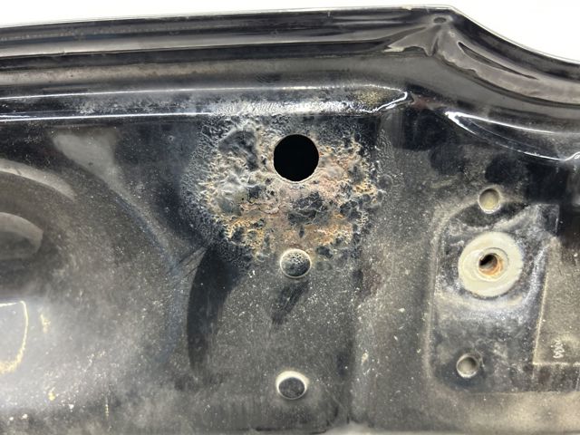 VAG 561823031E Капот в наличии Запорожье