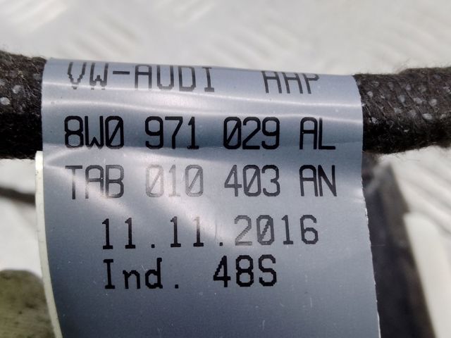 Электропроводка передней двери 8W0971029AL VAG