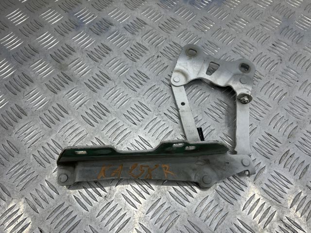 Завес капота, правый LR036583 LAND ROVER