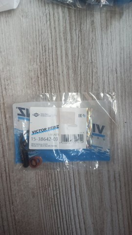 VICTOR REINZ 153864203 Ремкомплект форсунки в наличии Запорожье