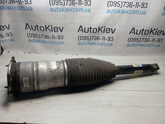 600635300C Амортизатор задний правый купить Черновцы