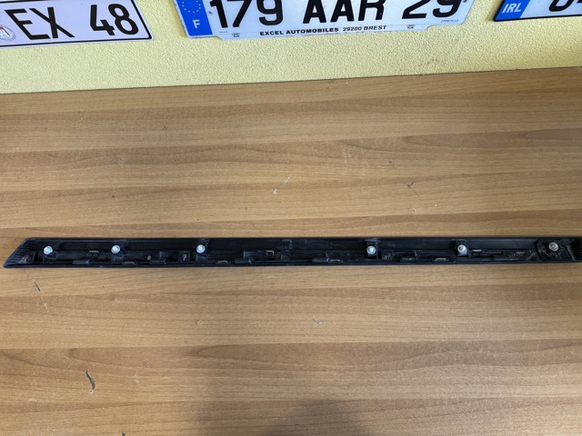 808776FR0A Молдинг двери передней левой нижний купить Ужгород
