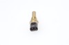 Sensor de temperatura do fluido de esfriamento 0280130014 BOSCH