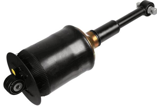 317325 SACHS Амортизатор передний купить в Ужгород