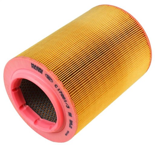 C172013 Фильтр воздушный купить Житомир