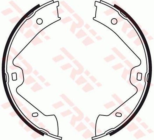 GS8776 TRW Колодки ручника купить в Ирпень