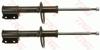 Amortecedor dianteiro JGM815T TRW