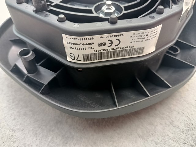 RENAULT 985103942R в наличии Чернигов