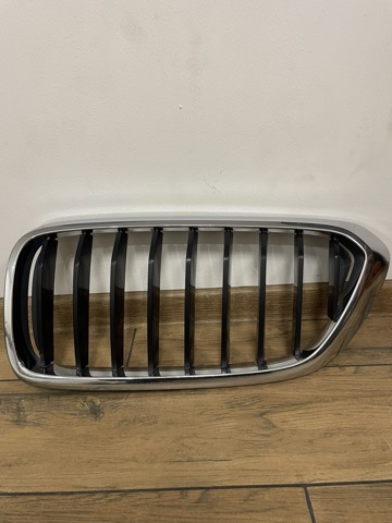 BMW 51137412421 Решетка радиатора в наличии Чернигов