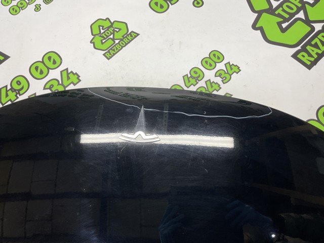 Капот двигателя 1081390E0C TESLA