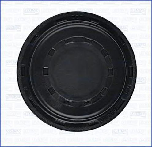 AJUSA 01164300 Заглушка ГБЦ в наличии Кривой Рог