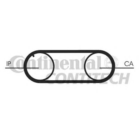 CT645 CONTINENTAL Ремень ТНВД купить в Чернигов