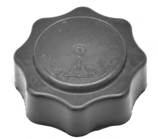 RC0010 Крышка расширительного бачка купить Черновцы