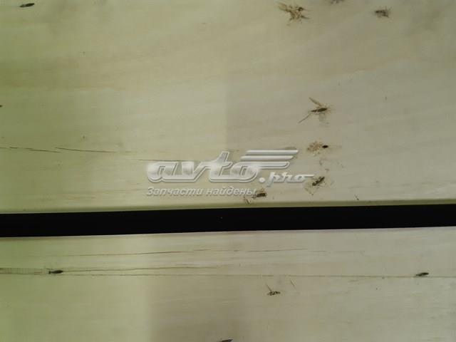 BMW 51217010542 Молдинг опускного стекла двери передней правой в наличии Киев