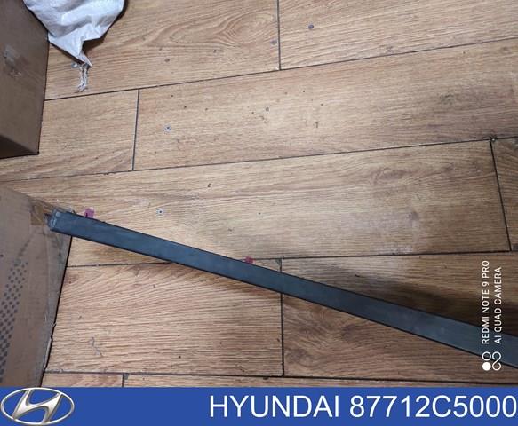 87712C5000 HYUNDAI Расширитель (накладка) арки переднего крыла правый купить в Чернигов