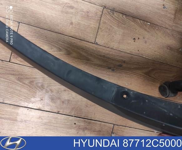 HYUNDAI 87712C5000 Расширитель (накладка) арки переднего крыла правый в наличии Ужгород