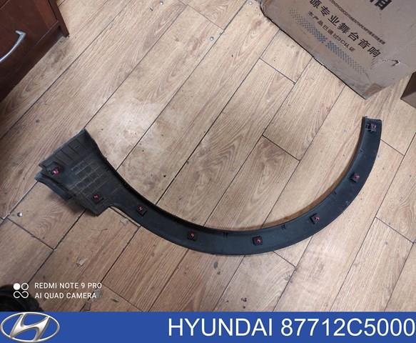 HYUNDAI 87712C5000 Расширитель (накладка) арки переднего крыла правый в наличии Харьков