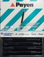 HBS285 PAYEN Болт головки блока цилиндров (ГБЦ) купить в Киев
