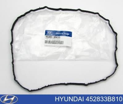 452833b810 hyundai kia