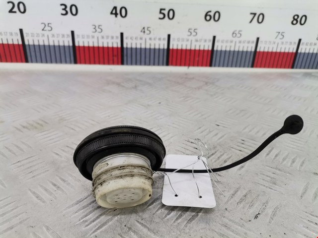 1725179921 NISSAN Крышка бензобака купить в Черновцы