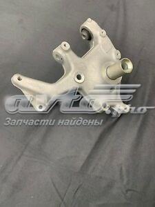 Цапфа - поворотный кулак задний, правый 3C0505434K VAG