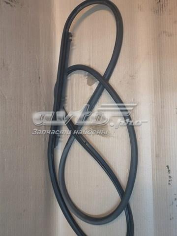 Уплотнитель двери передней, на (кузове) 4F0837911 VAG