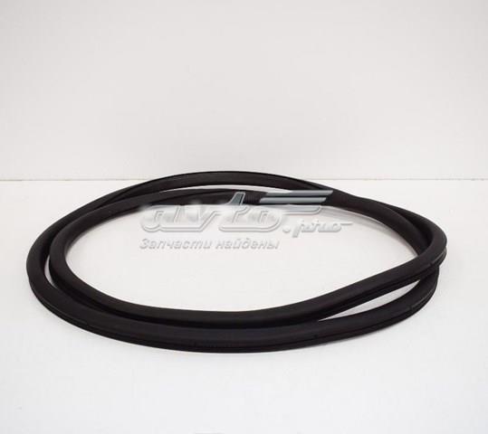 Уплотнитель двери задней, (на кузове) 5N0867913A9B9 VAG