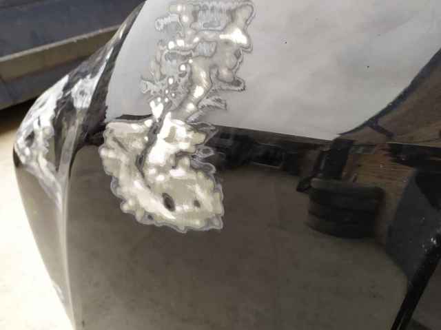 5330160690 TOYOTA Капот купить в Хмельницкий