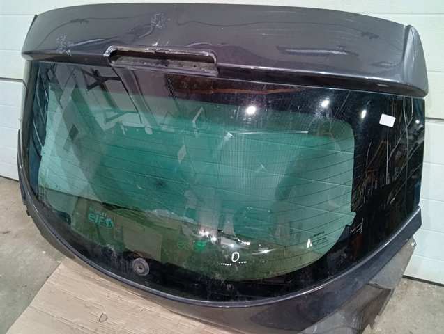 727129203R RENAULT Лобовое стекло купить в Полтава