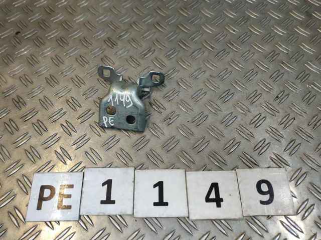 RENAULT 804207876R Петля двери передней в наличии Тернополь