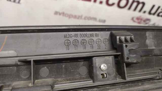828766FR0A NISSAN Молдинг двери задней правой нижний купить в Запорожье