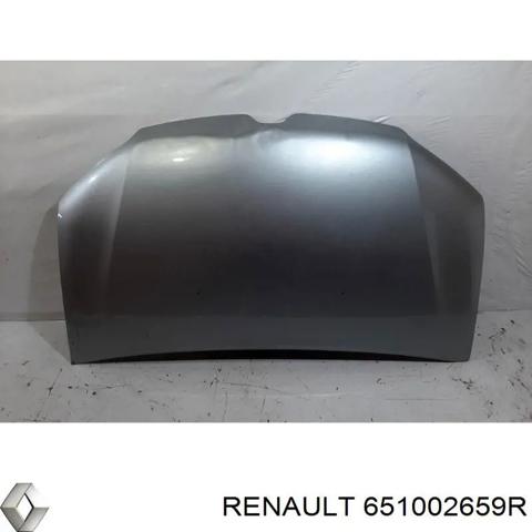 651002659R Капот купить Полтава