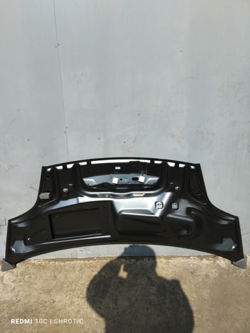 7751474890 RENAULT Капот купить в Запорожье