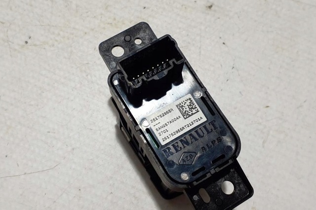 RENAULT 251752955R в наличии Житомир