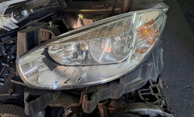 RENAULT 260600078R Фара левая в наличии Черновцы