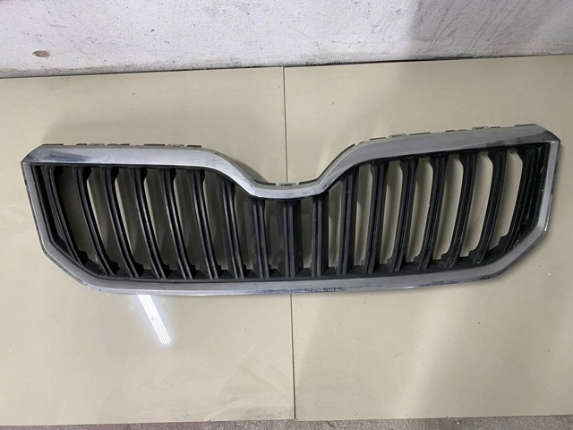 5L0853668B VAG Решетка радиатора купить в Кривой Рог