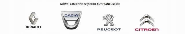RENAULT 622542307R Решетка бампера переднего центральная в наличии Украина