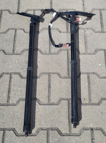 904524541R Амортизатор багажника купить Хмельницкий