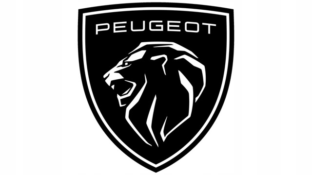 9800236380 PEUGEOT купить в Запорожье