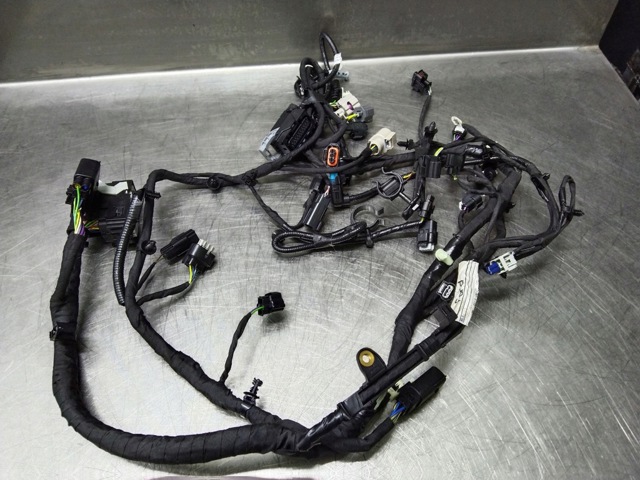 FORD GU5T12C508 в наличии Ирпень