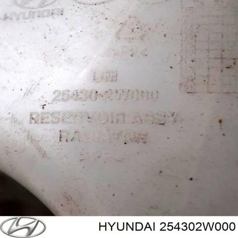 HYUNDAI 254302W000 Бачок системы охлаждения расширительный в наличии Киев