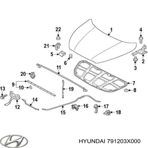Петля капота, правая 791203X000 HYUNDAI