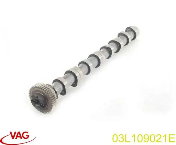 Распредвал двигателя, впускной 03L109021E VAG
