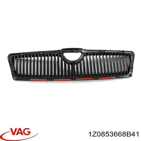 Решетка 1Z0853668B41 VAG