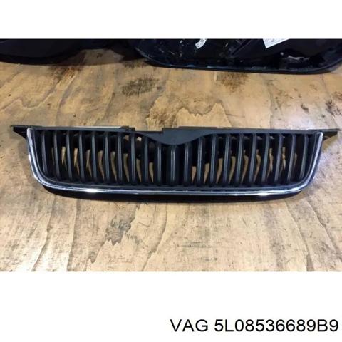 Решетка радиатора 5L08536689B9 VAG